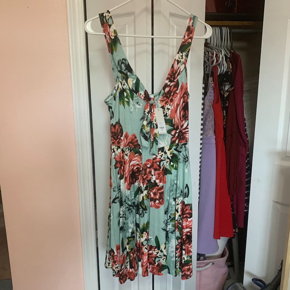 Francesca's Floral Dress